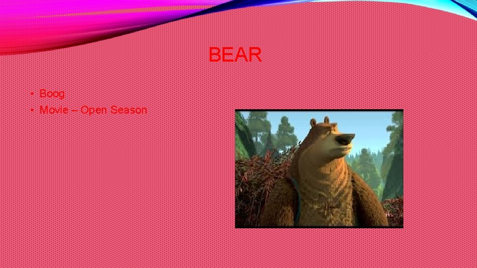 BEAR • Boog • Movie – Open Season 