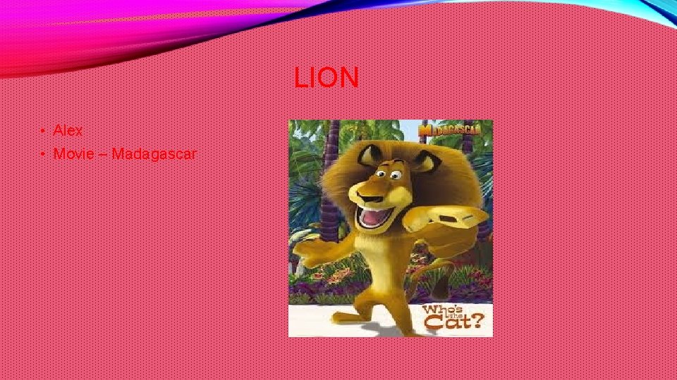 LION • Alex • Movie – Madagascar 