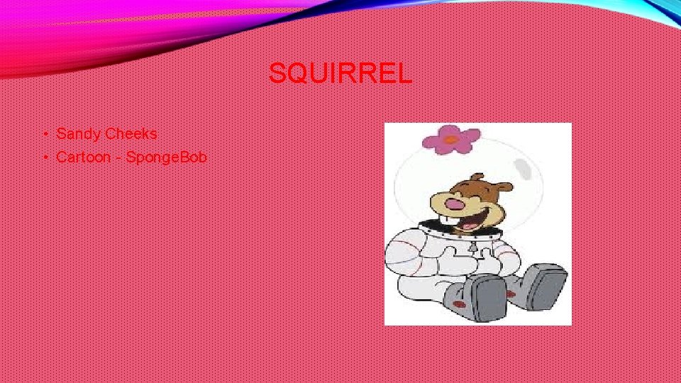 SQUIRREL • Sandy Cheeks • Cartoon - Sponge. Bob 