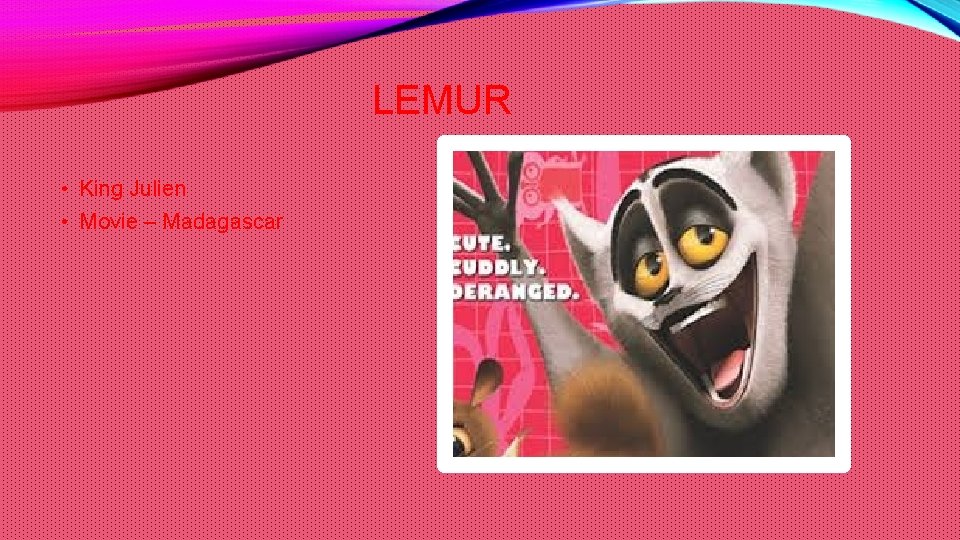 LEMUR • King Julien • Movie – Madagascar 