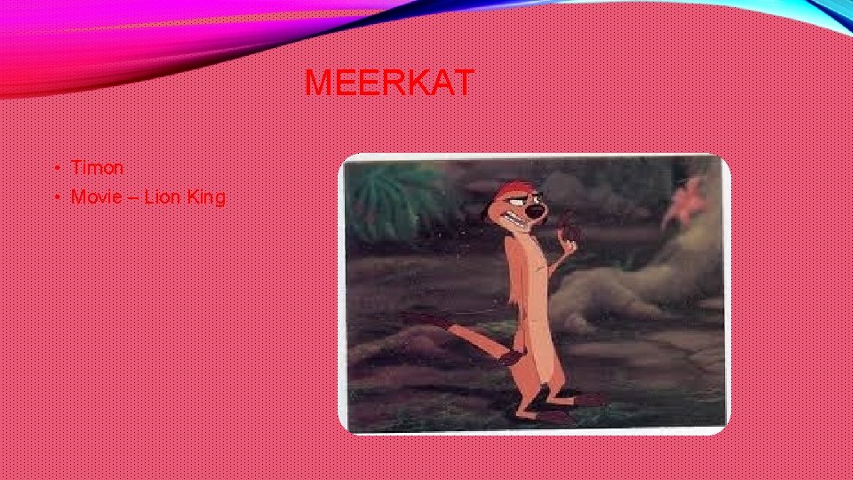 MEERKAT • Timon • Movie – Lion King 