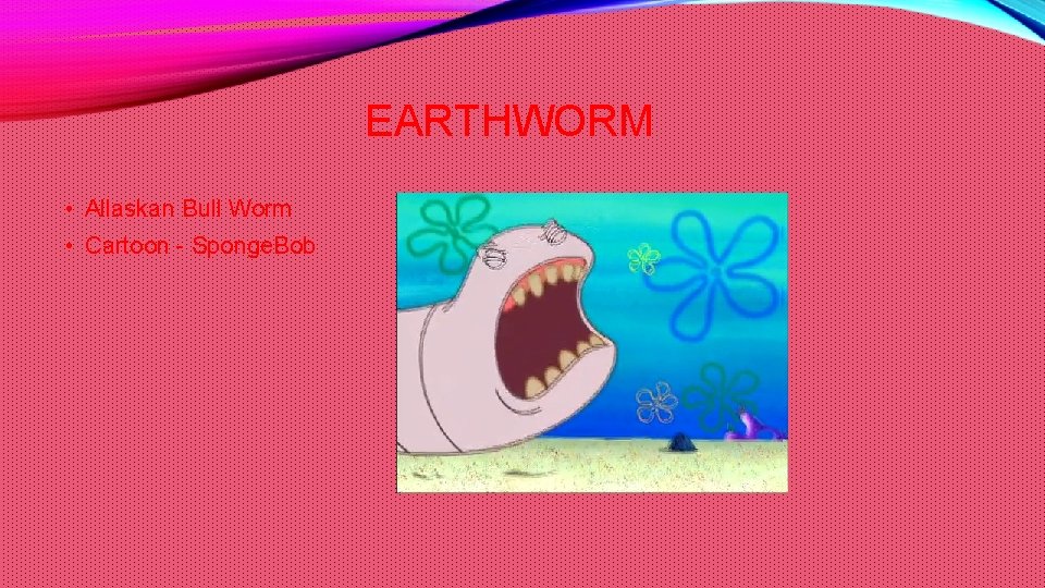 EARTHWORM • Allaskan Bull Worm • Cartoon - Sponge. Bob 