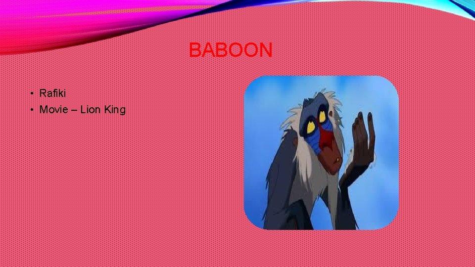 BABOON • Rafiki • Movie – Lion King 