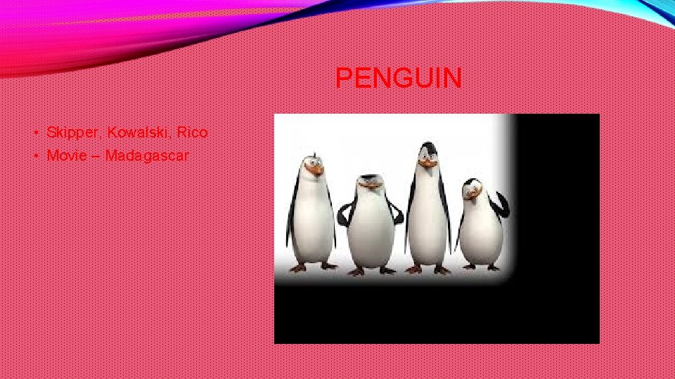PENGUIN • Skipper, Kowalski, Rico • Movie – Madagascar 
