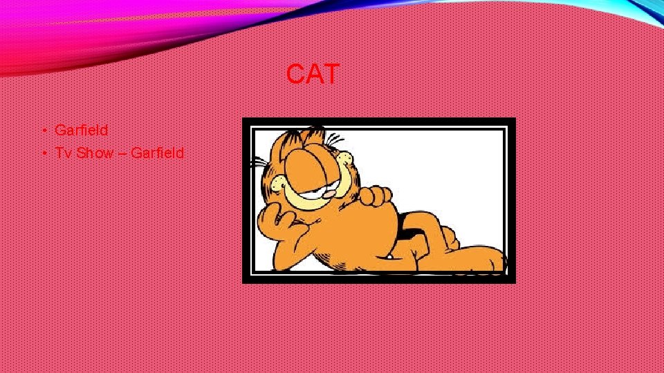 CAT • Garfield • Tv Show – Garfield 
