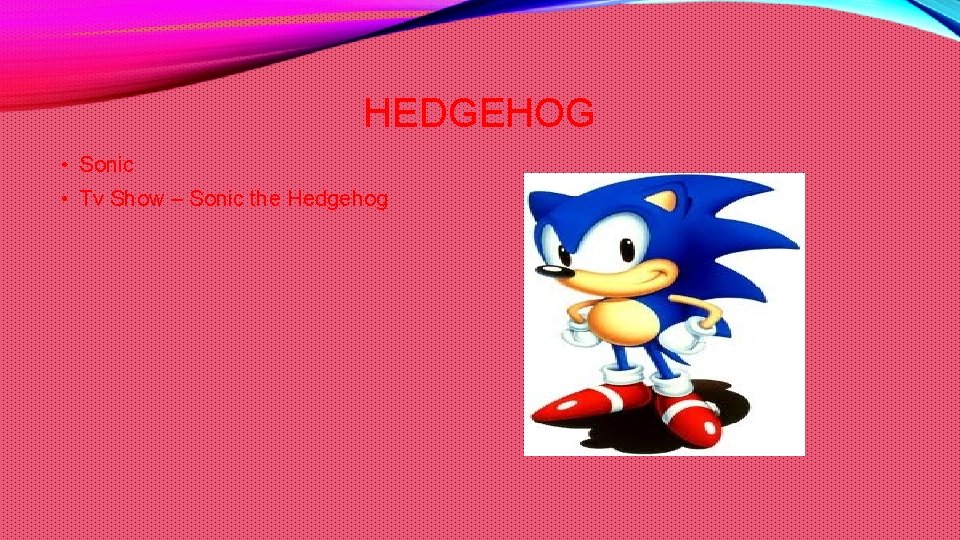 HEDGEHOG • Sonic • Tv Show – Sonic the Hedgehog 