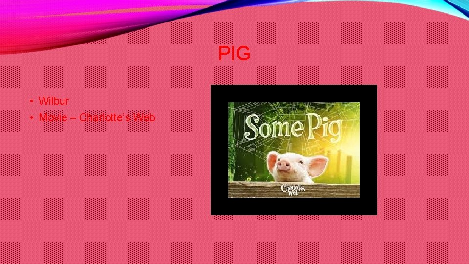 PIG • Wilbur • Movie – Charlotte’s Web 