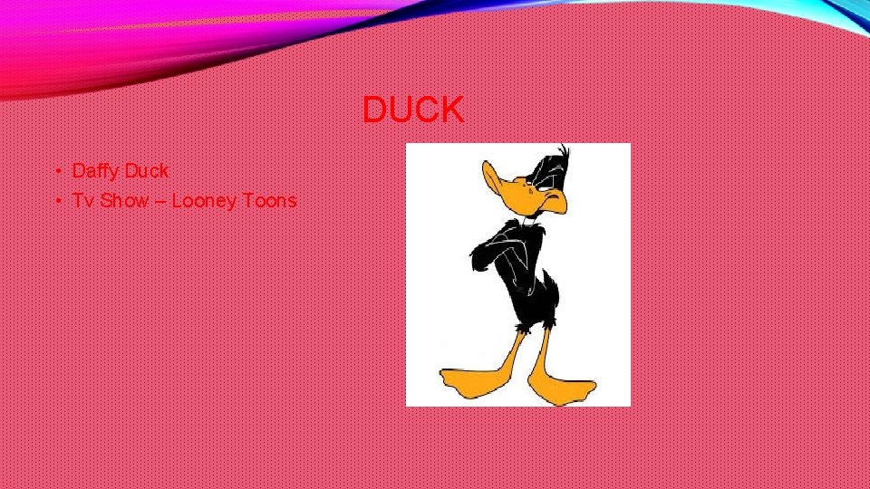 DUCK • Daffy Duck • Tv Show – Looney Toons 