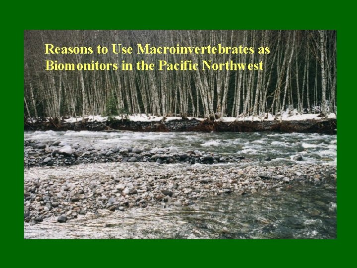 Reasons to Use Macroinvertebrates as Biomonitors in the Pacific Northwest 