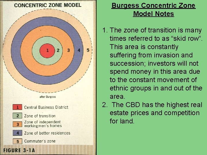 Burgess Concentric Zone Model Notes 1. The zone of transition is many times referred