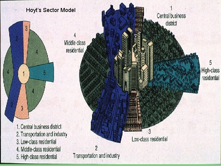 Hoyt’s Sector Model 