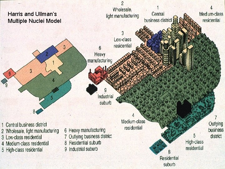 Harris and Ullman’s Multiple Nuclei Model 