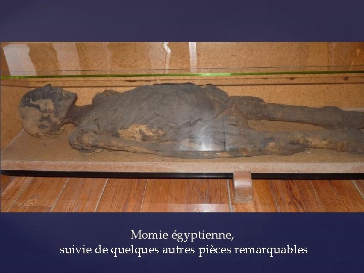 Momie égyptienne, suivie de quelques autres pièces remarquables 