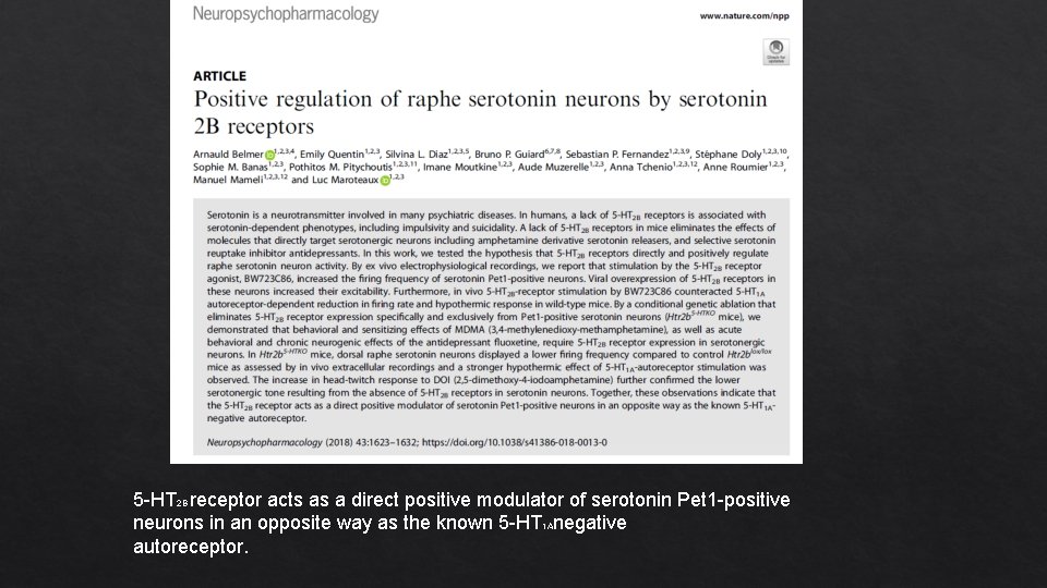 5 -HT 2 B receptor acts as a direct positive modulator of serotonin Pet