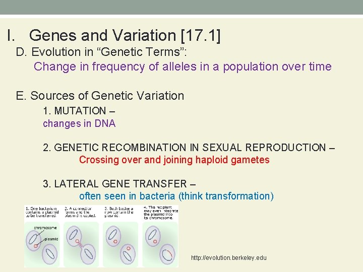 I. Genes and Variation [17. 1] D. Evolution in “Genetic Terms”: Change in frequency