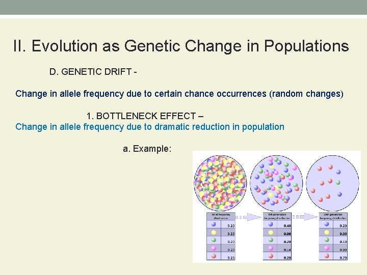 BIOLOGY CHAPTER 17 Evolution of Populations I Genes