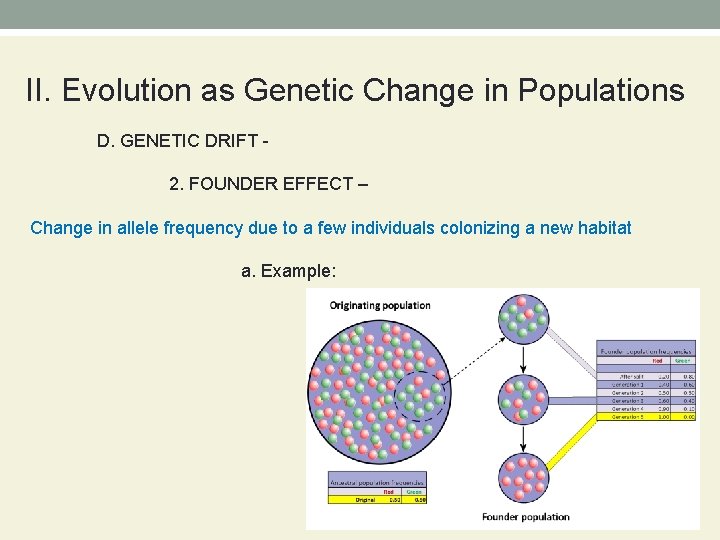 BIOLOGY CHAPTER 17 Evolution of Populations I Genes