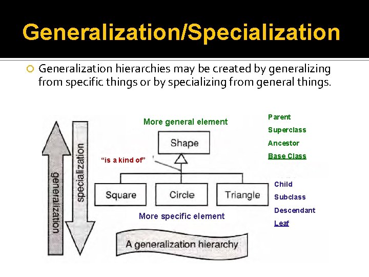Generalization/Specialization Generalization hierarchies may be created by generalizing from specific things or by specializing
