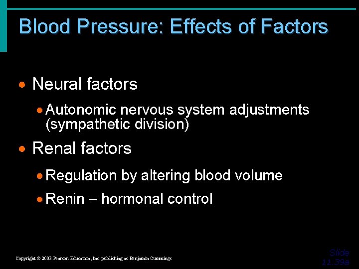 Blood Pressure: Effects of Factors · Neural factors · Autonomic nervous system adjustments (sympathetic