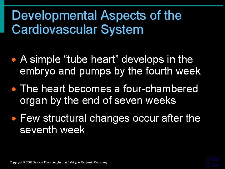 Developmental Aspects of the Cardiovascular System · A simple “tube heart” develops in the