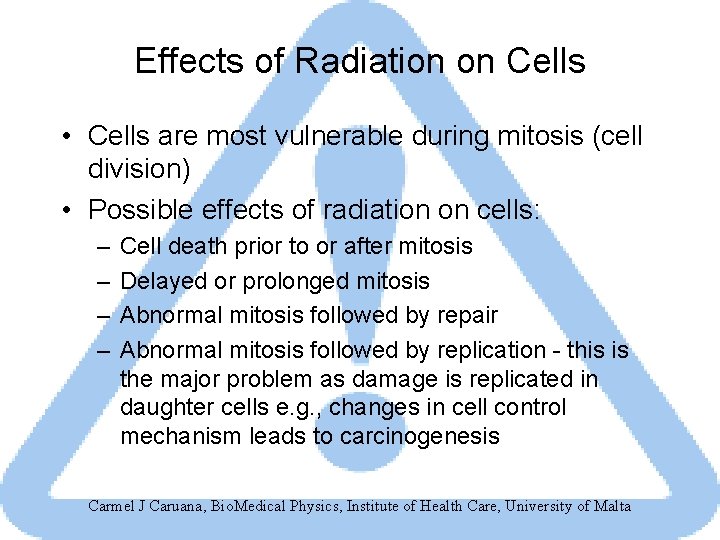 Effects of Radiation on Cells • Cells are most vulnerable during mitosis (cell division)