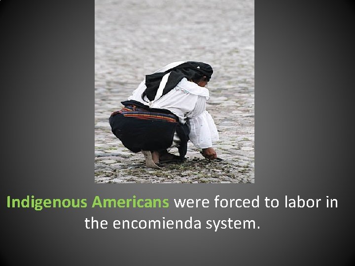 Indigenous Americans were forced to labor in the encomienda system. 