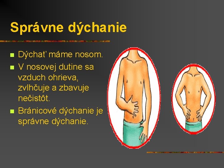 Správne dýchanie n n n Dýchať máme nosom. V nosovej dutine sa vzduch ohrieva,