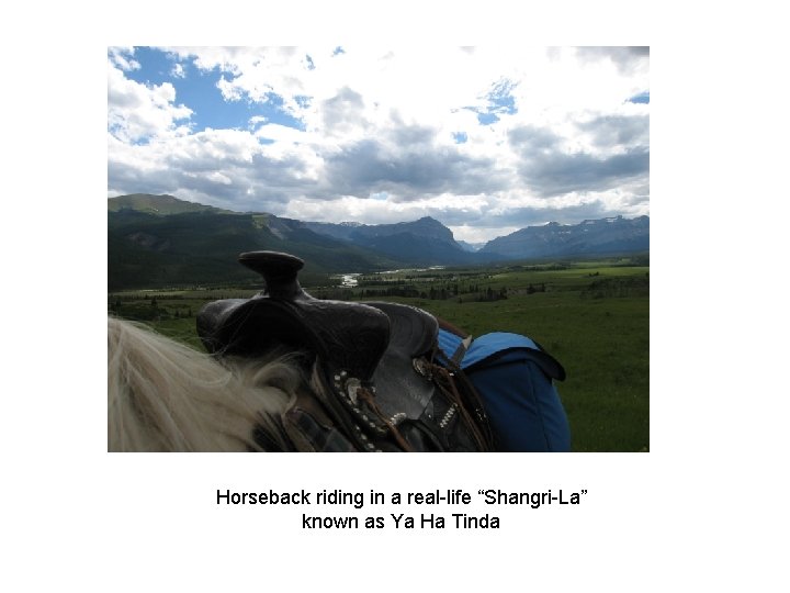 Horseback riding in a real-life “Shangri-La” known as Ya Ha Tinda 