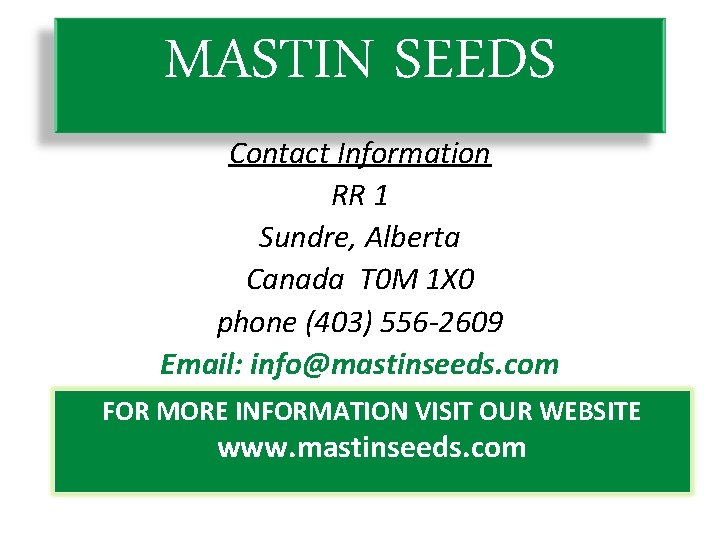 MASTIN SEEDS Contact Information RR 1 Sundre, Alberta Canada T 0 M 1 X