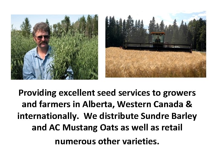 Providing excellent seed services to growers and farmers in Alberta, Western Canada & internationally.