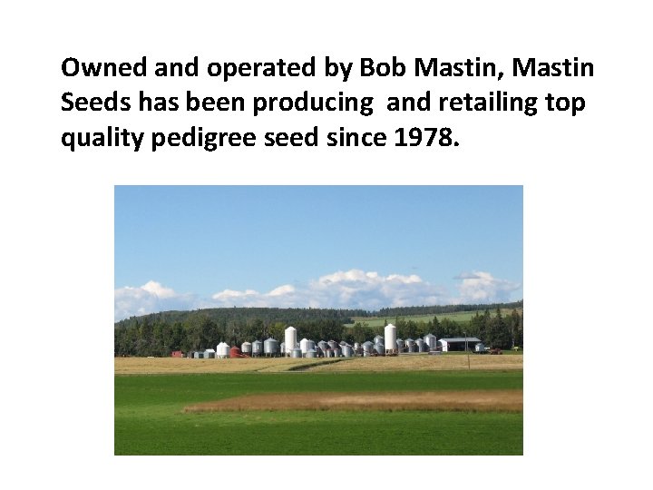 Owned and operated by Bob Mastin, Mastin Seeds has been producing and retailing top