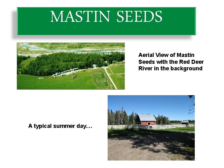 MASTIN SEEDS Aerial View of Mastin Seeds with the Red Deer River in the