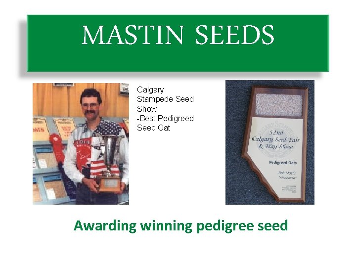 MASTIN SEEDS Calgary Stampede Seed Show -Best Pedigreed Seed Oat Awarding winning pedigree seed