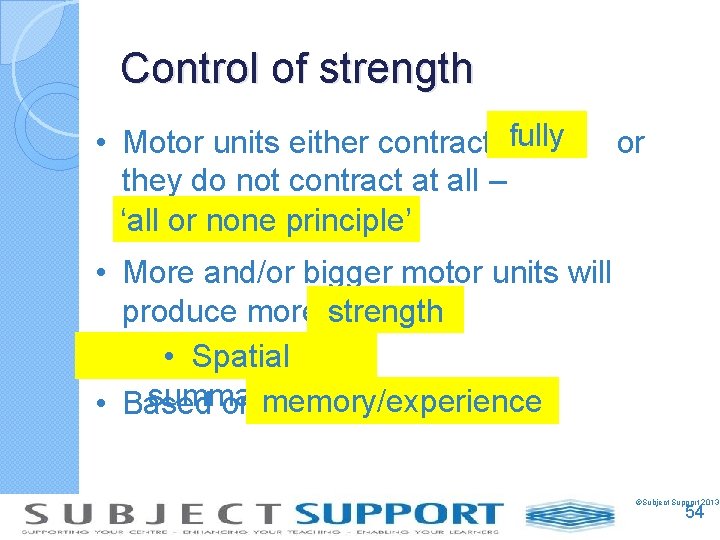 Control of strength • Motor units either contract fully they do not contract at