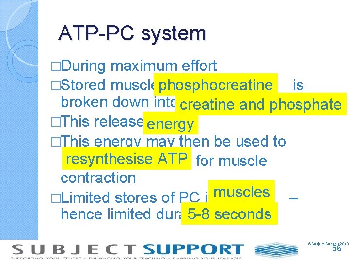 ATP-PC system �During maximum effort �Stored musclephosphocreatine is broken down into creatine and phosphate