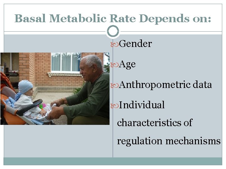 Basal Metabolic Rate Depends on: Gender Age Anthropometric data Individual characteristics of regulation mechanisms