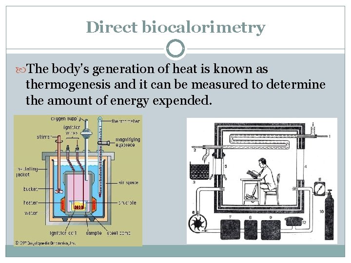 Direct biocalorimetry The body's generation of heat is known as thermogenesis and it can