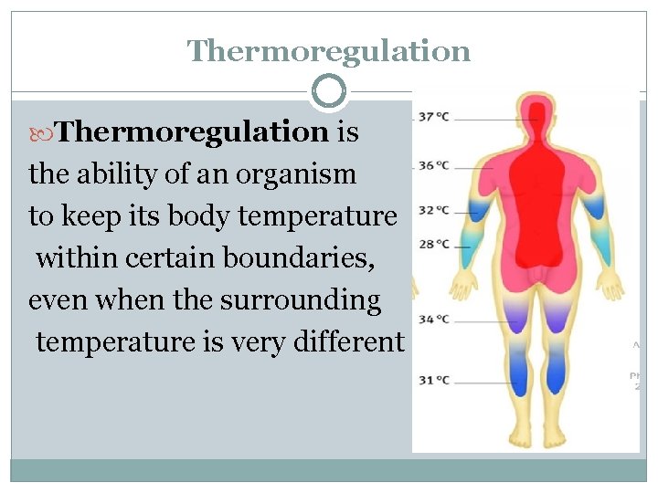 Thermoregulation is the ability of an organism to keep its body temperature within certain