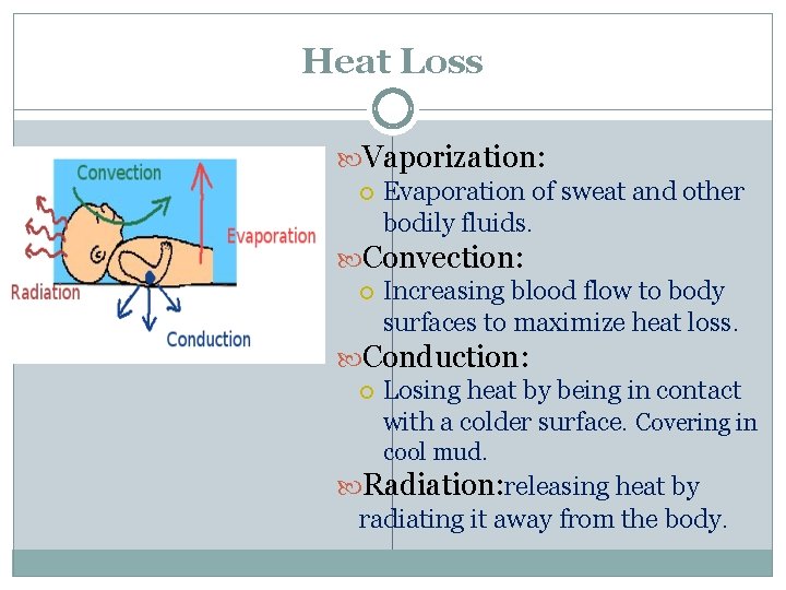 Heat Loss Vaporization: Evaporation of sweat and other bodily fluids. Convection: Increasing blood flow