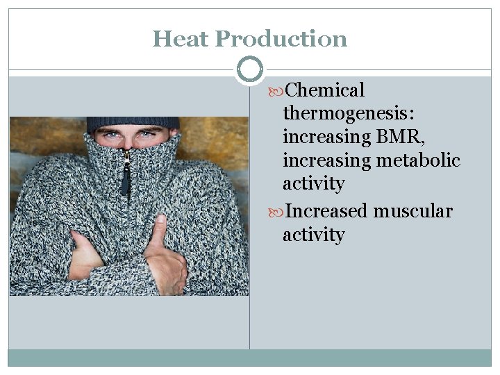 Heat Production Chemical thermogenesis: increasing BMR, increasing metabolic activity Increased muscular activity 