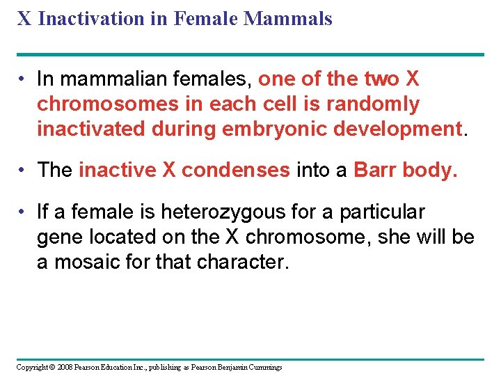 X Inactivation in Female Mammals • In mammalian females, one of the two X