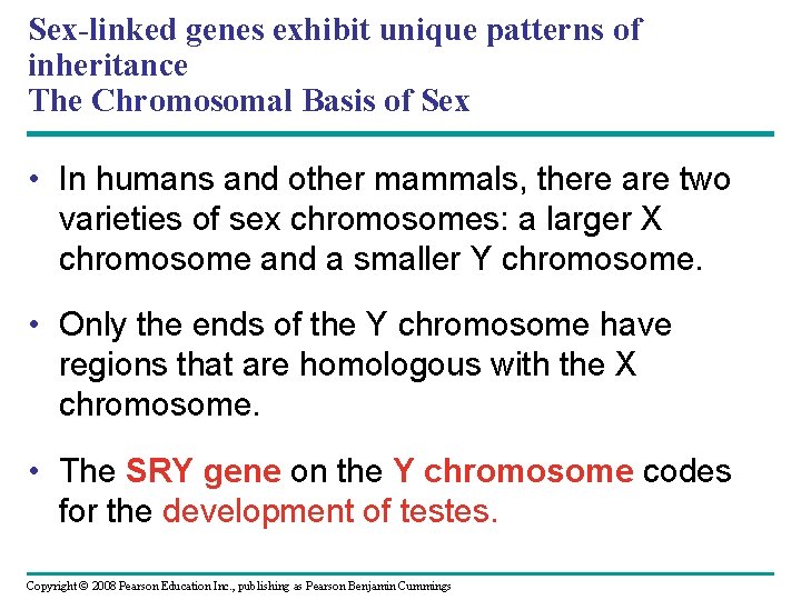 Sex-linked genes exhibit unique patterns of inheritance The Chromosomal Basis of Sex • In