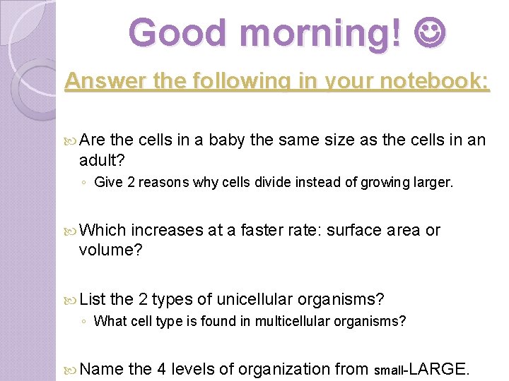 Good morning! Answer the following in your notebook: Are the cells in a baby