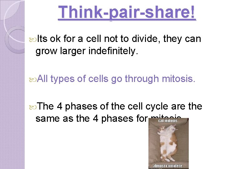 Think-pair-share! Its ok for a cell not to divide, they can grow larger indefinitely.