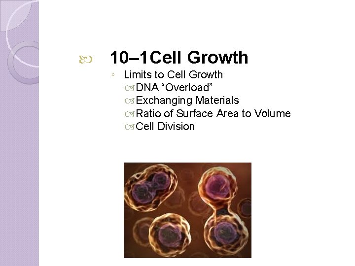  10– 1 Cell Growth ◦ Limits to Cell Growth DNA “Overload” Exchanging Materials