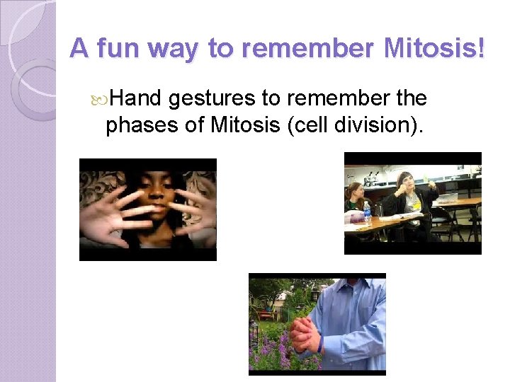 A fun way to remember Mitosis! Hand gestures to remember the phases of Mitosis