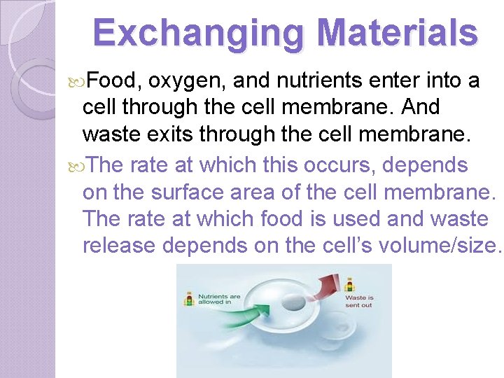 Exchanging Materials Food, oxygen, and nutrients enter into a cell through the cell membrane.