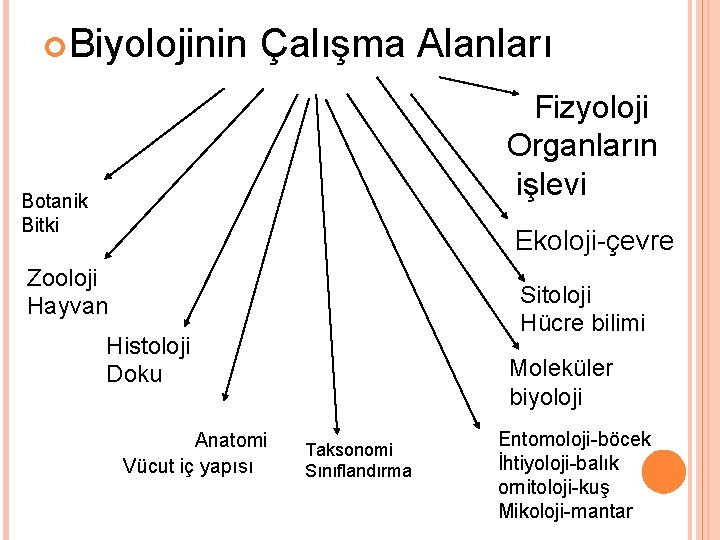  Biyolojinin Çalışma Alanları Fizyoloji Organların işlevi Botanik Bitki Ekoloji-çevre Zooloji Hayvan Sitoloji Hücre