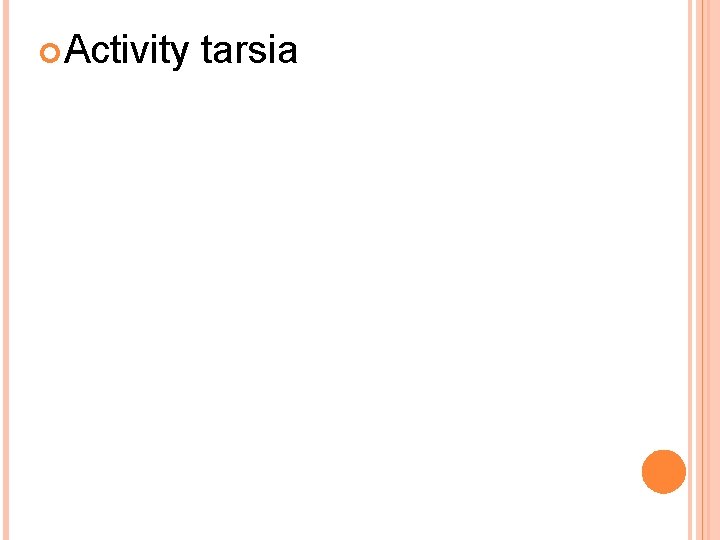  Activity tarsia 