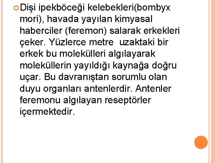  Dişi ipekböceği kelebekleri(bombyx mori), havada yayılan kimyasal haberciler (feremon) salarak erkekleri çeker. Yüzlerce